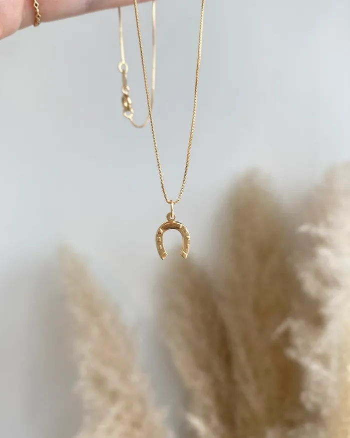 ERIJEWELRY Necklaces Horseshoe Necklace