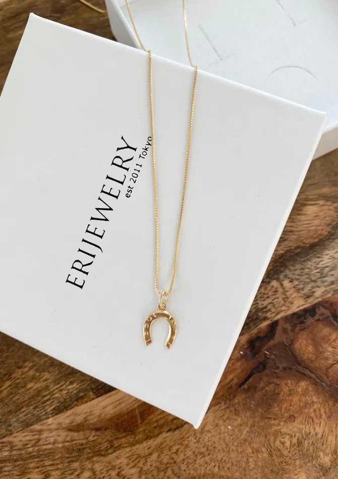 ERIJEWELRY Necklaces Horseshoe Necklace