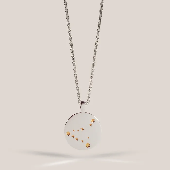 I Z A J E W E L R Y Zodiac Necklace capricorn Necklaces