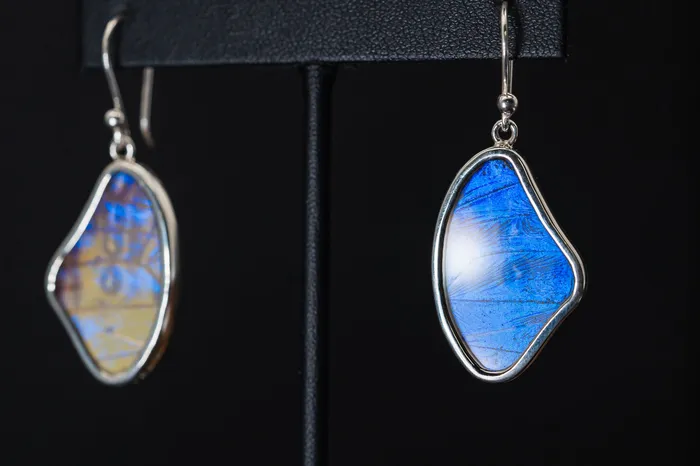 Vicky Bates Earrings Sterling Silver Butterfly Wing Earrings
