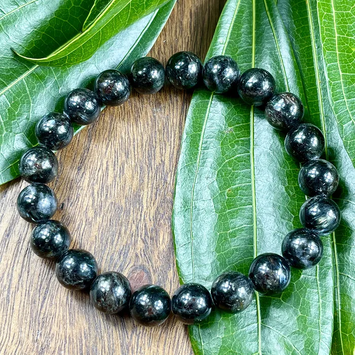 Bracelets Astrophyllite Firework Stone High Vibrational Energy Relationship Goals Premium Collection 8mm Stretch Bracelet Lily Rose Jewelry