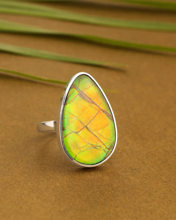 YoTreasure Rings 1210 Ct Ammoite Ring Solid 925 Sterling Silver Jewlry