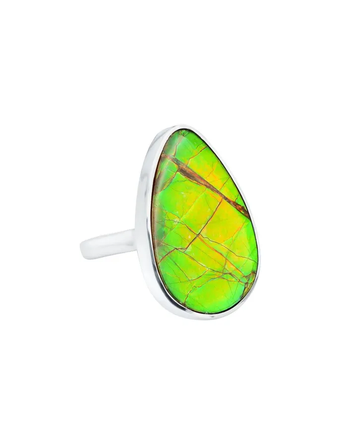YoTreasure Rings 1210 Ct Ammoite Ring Solid 925 Sterling Silver Jewlry
