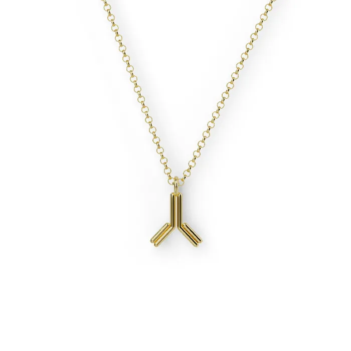 antibody necklace gold vermeil sciencejewelry1824 Necklaces