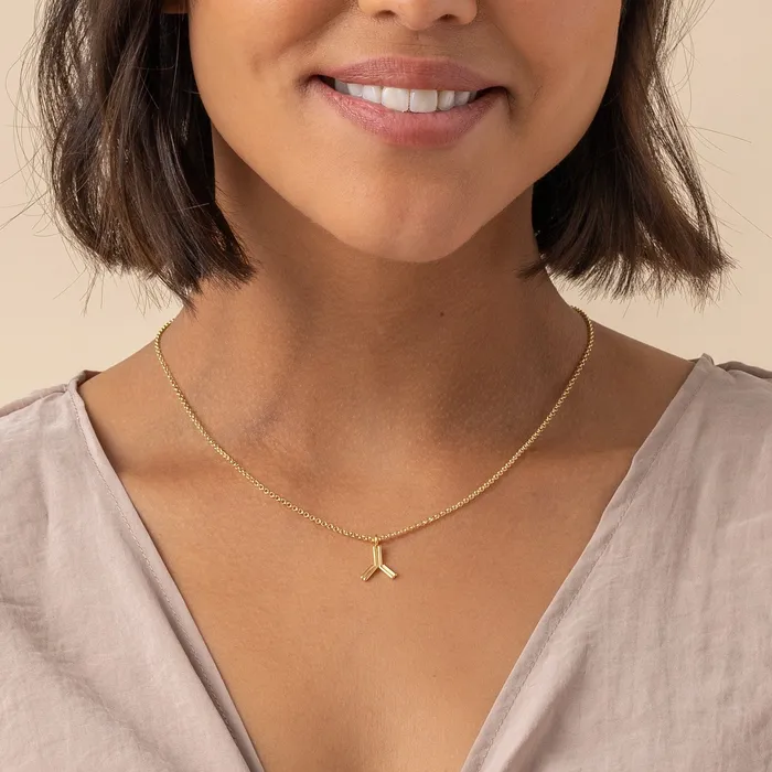 antibody necklace gold vermeil sciencejewelry1824 Necklaces