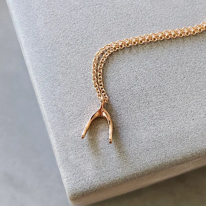 Corey Egan Necklaces Rose Gold Wishbone Necklace