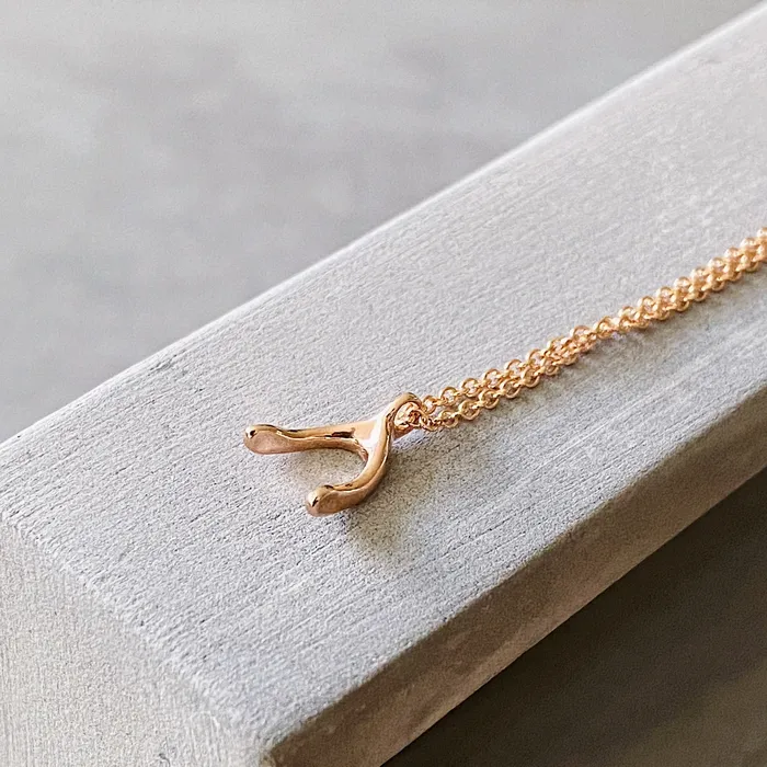 Corey Egan Necklaces Rose Gold Wishbone Necklace