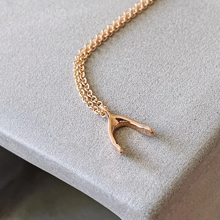 Corey Egan Necklaces Rose Gold Wishbone Necklace