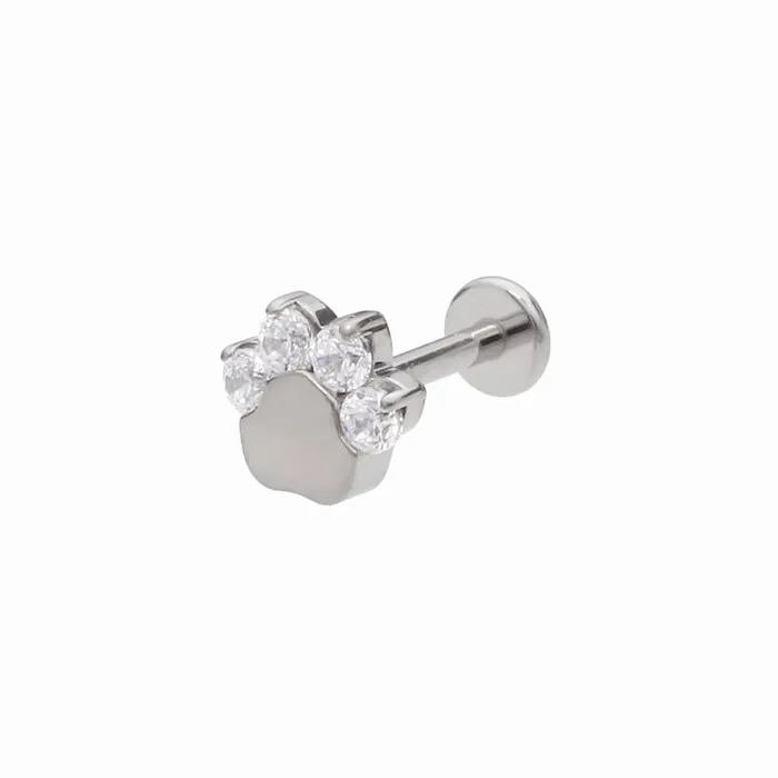 Earrings Titanium CZ Paw Top Flat Back Stud Earrings Glitters