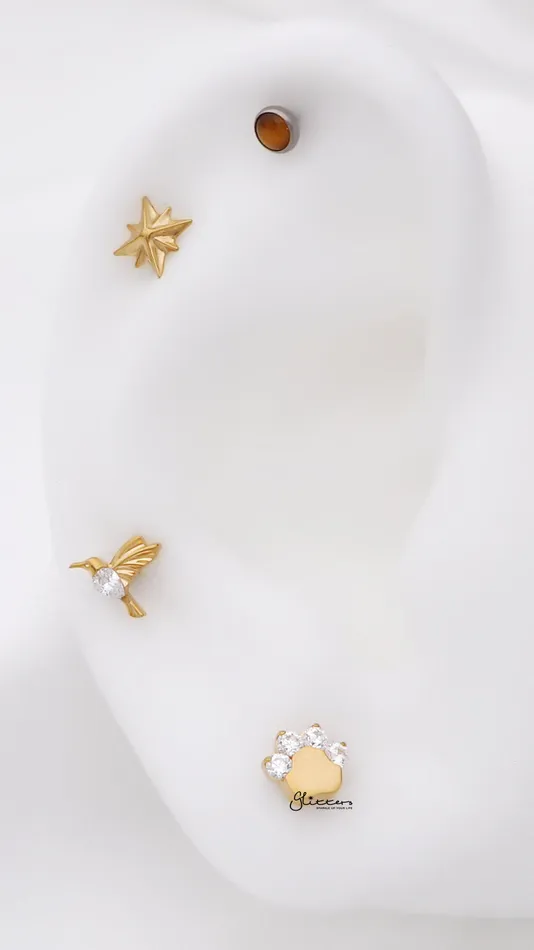 Earrings Titanium CZ Paw Top Flat Back Stud Earrings Glitters