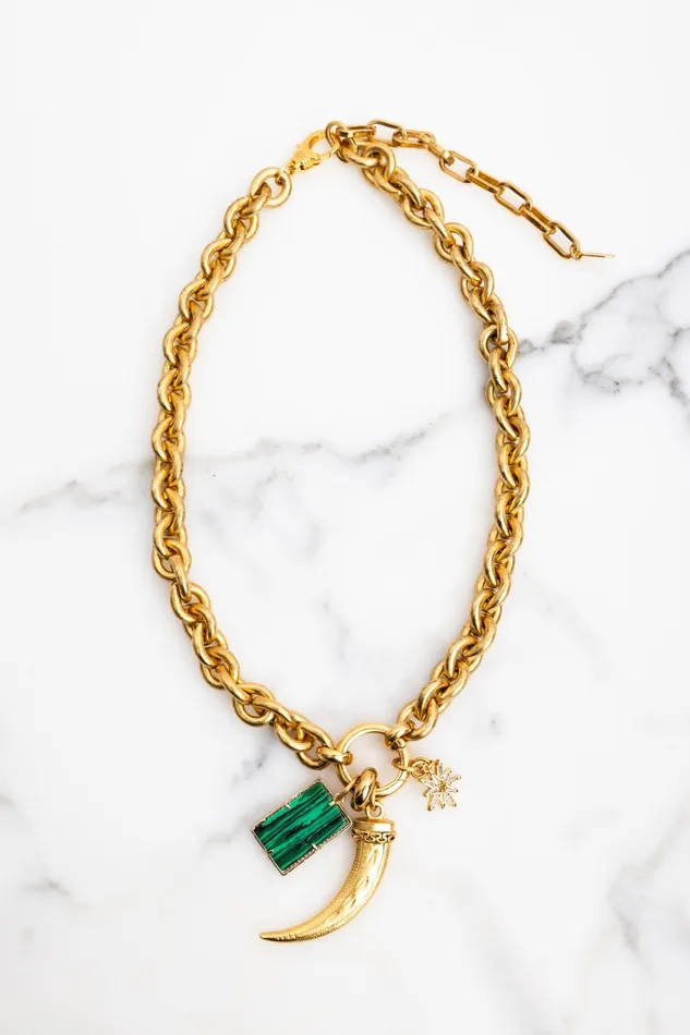 Elizabeth Cole Jewelry Kaida Necklace Necklaces
