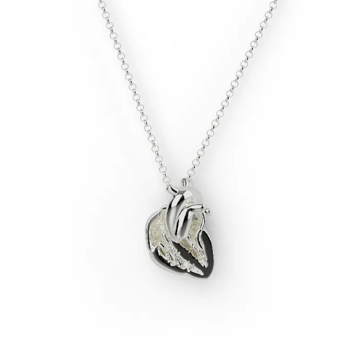 Necklaces sciencejewelry1824 heart section necklace silver