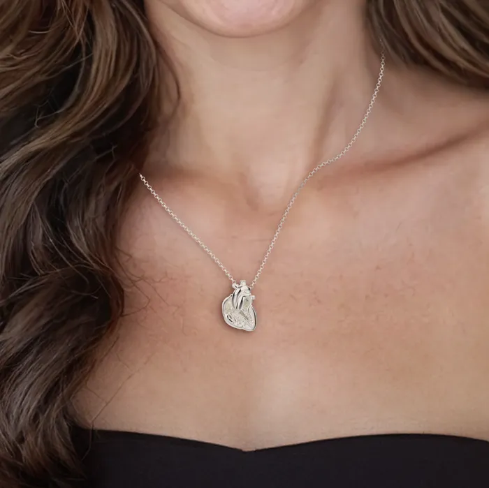 Necklaces sciencejewelry1824 heart section necklace silver