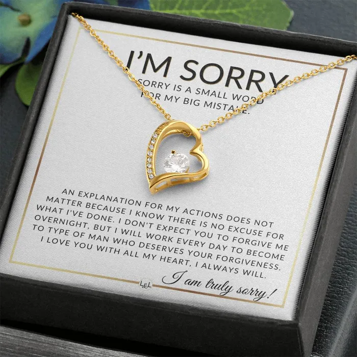 Necklaces ShineOn Fulfillment I Am Sorry Gift For Her No Excuses Apology Gift For Wife Fiance or Girlfriend Beautiful Womens Open Heart Pendant Necklace Heartfelt Message