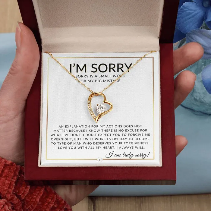 Necklaces ShineOn Fulfillment I Am Sorry Gift For Her No Excuses Apology Gift For Wife Fiance or Girlfriend Beautiful Womens Open Heart Pendant Necklace Heartfelt Message