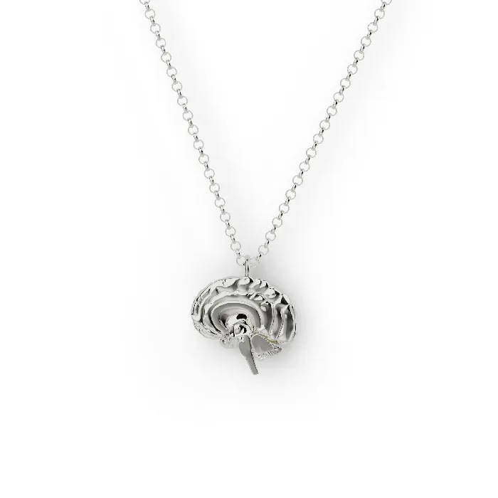 sciencejewelry1824 Necklaces sagittal brain necklace silver