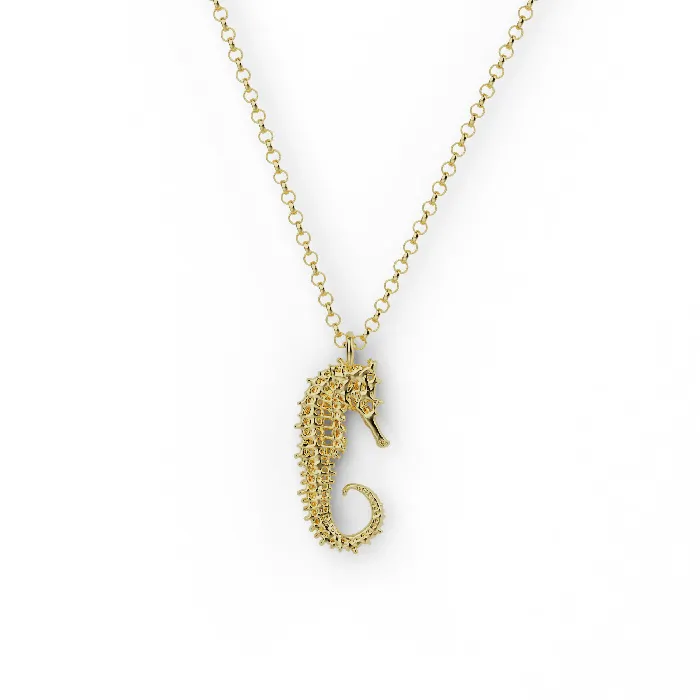 seahorse skeleton necklace gold vermeil sciencejewelry1824 Necklaces